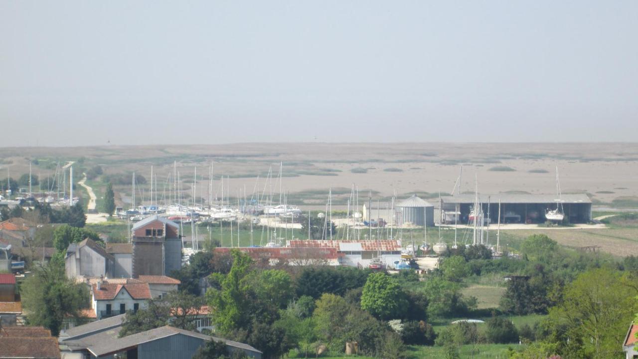 Grande Maison Charentaise Avec Vue Sur Le Chenal Superbes Couches De Soleil Sur L Estuaire De La Gironde! Mortagne-sur-Gironde Buitenkant foto
