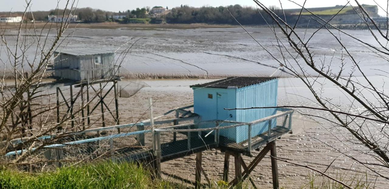 Grande Maison Charentaise Avec Vue Sur Le Chenal Superbes Couches De Soleil Sur L Estuaire De La Gironde! Mortagne-sur-Gironde Buitenkant foto